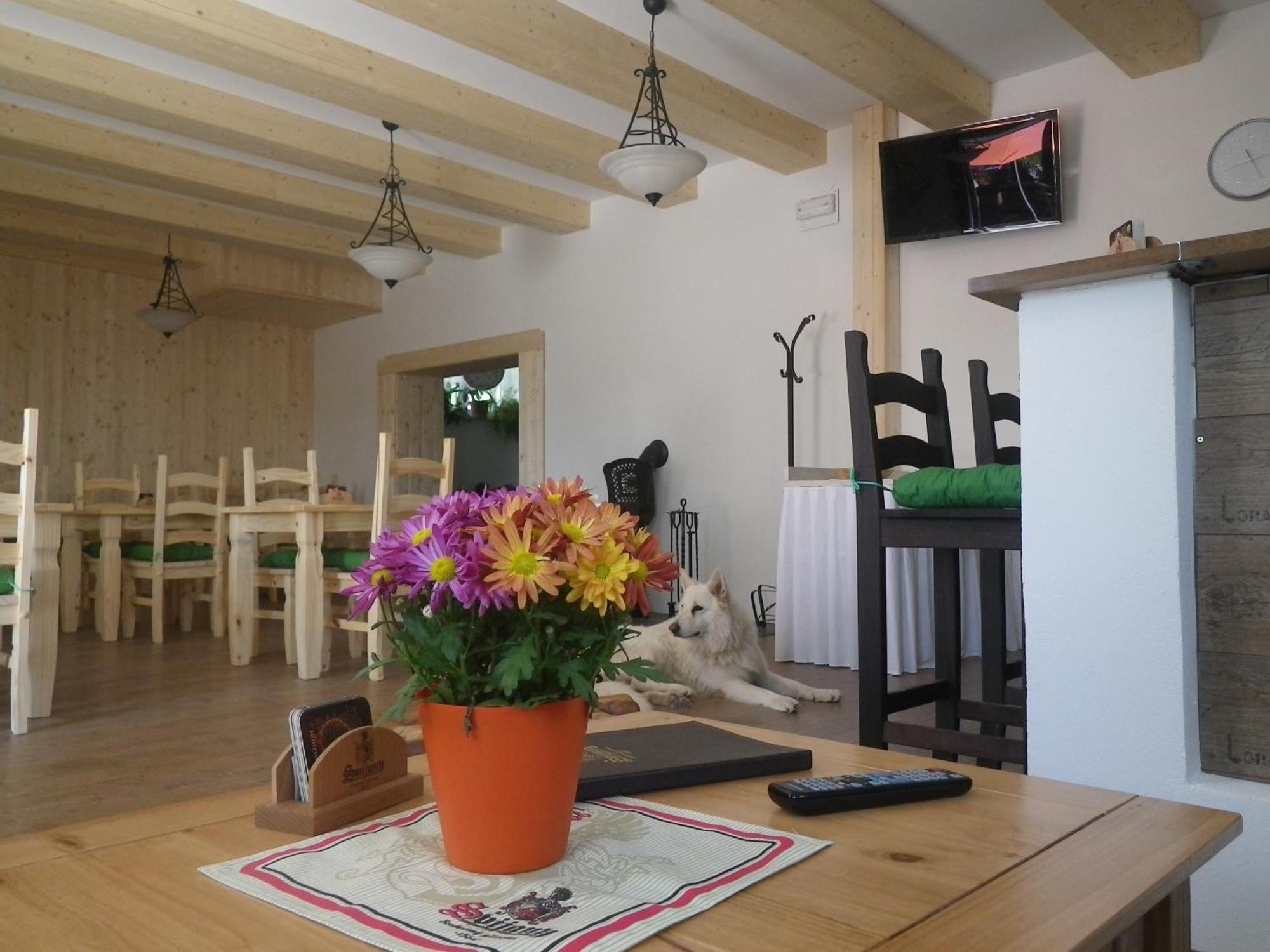 Železná Ruda 波贝舒瓦布达旅馆酒店 外观 照片